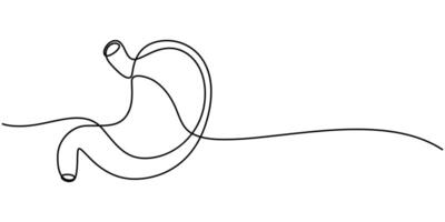 Continuous One Line Drawing Internal organ stomach vector