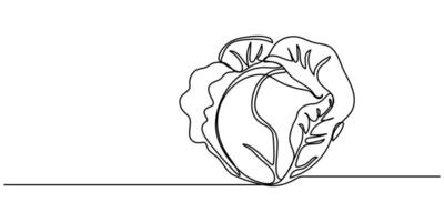 Cabbage continuous one line drawing minimalist style vector