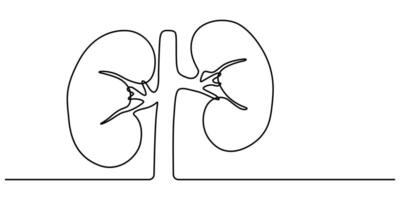 Continuous Line Drawing of Kidney Icon vector