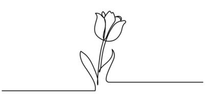 Continuous one line drawing beauty fresh tulip for garden vector