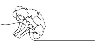 Continuous one line drawing broccoli illustration Black line art vector