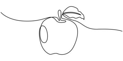 continuous line drawing of apple fruit vector