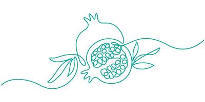 Continuous one single line art pomegranate illustration vector