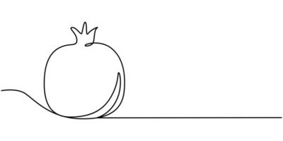 Continual single line drawing of pomegranate fruit vector