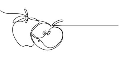 Continuous one line art drawing apple outline art illustration vector