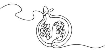 Abstract shaped pomegranate single One line Drawing pomegranate icon vector