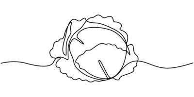 One single line drawing cut sliced healthy organic headed cabbage vector