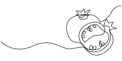 Continuous one line drawing of pomegranate illustration on isolated background vector