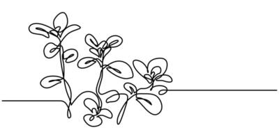Oregano leaves simple one continuous line art illustration vector