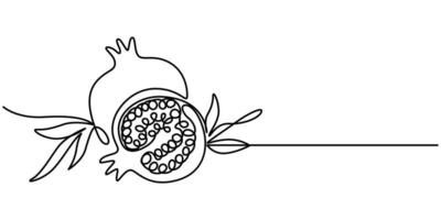 Pomegranate in Continuous single one line drawing vector