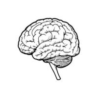 Flat Brain Black and White vector