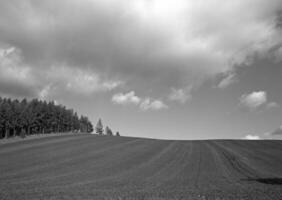 Majestic Highland Landscape with Azure Sky and People Embracing Nature photo