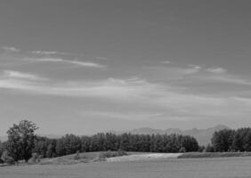 Tranquil Landscape with Cumulus Clouds Over Lush Grassland and Trees photo