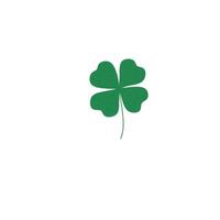 four leaf clover isolated on white background vector