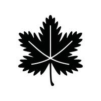 Black silhouette of maple leaf icon on white background vector