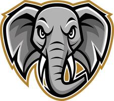 An elephant head with tusks on it vector