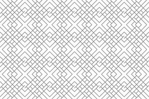 Black and white geometric pattern or fabric pattern, line pattern texture vector