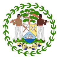 Belize element flag national material design vector