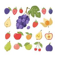 Garden fruits and berries. Plum, strawberry, raspberry, grape, blackberry, pear, physalis, apple, apricot, peach, cherry, fig. Hand drawn cartoon collection. vector