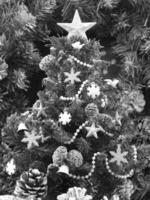Flowering Plant in a Flowerpot with Christmas Tree and Evergreen Shrubs photo
