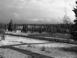 Snowy Landscape with Tree Branches Against Cloudy Sky photo