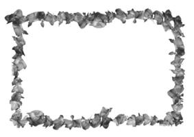 Flower frame template, flowers picture frame mock up isolated over solid background photo