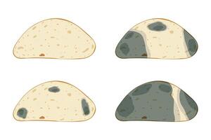 The mold on the bread, set isolated on white background. Food fungus drawing design. vector