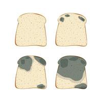 The mold on the toast bread, set isolated on white background. Food fungus drawing design. vector