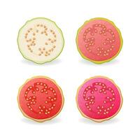 Sliced raw and ripe Guava fruits set. Ripe guajava on white background. Vegan food, healthy and natural dessert. vector
