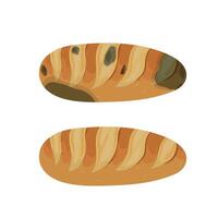 The mold on the loaf, set isolated on white background. Food fungus drawing design. vector