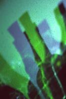 Electric Blue Liquid Reflections. A Macro Photography Study of Terrestrial Plants in Glass Patterns photo