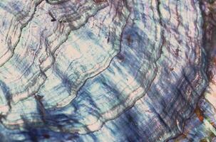 Electric Blue Denim Plaid Pattern on Wood and Grass Background with Twig Details photo