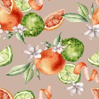 Jasmine flowers with citrus fruits grapefruit and bergamot watercolor seamless pattern isolated. Hand drawn summer plants orange and green colors in botanical sketch style for wrapping paper, textile. vector