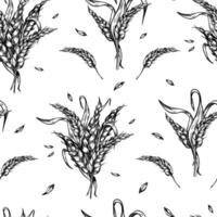 Bunch of wheat ear with dry herb and grains black white graphic seamless pattern isolated. Spikelet rye, barley stalks monochrome hand drawn botanical background for design product, bakery. vector