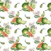 Jasmine branch and ripe fruits watercolor seamless pattern isolated on white. Bergamot and grapefruit drawing. Floral summer print with slices citrus hand drawn for packaging, wrapping paper, textile. vector