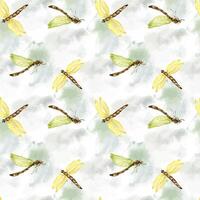 Dragonflies on watercolor backdrop seamless pattern isolated on white. Flying insects illustration hand drawn. Colorful sketch bugs with transparent wings. Design for textile, tableware, wrapping. vector