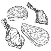 Fresh meat products collection, isolated on white background. Sketch illustration. Food isolated design elements. vector