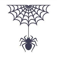 The spider sits on the web. vector