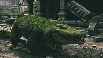 Crocodile in a desolate ancient ruin under dim light conditions video