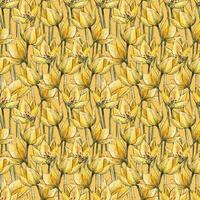 Seamless pattern with yellow tulips on a yellow background. Watercolor floral tulip texture. Seamless colorful spring pattern. vector