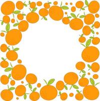 Orange mandarin fruit hand drawn graphic design. illustration. Design, package, brochure illustration. circle round frame in square. Design elements for packaging design and other. vector
