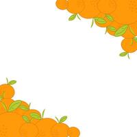 Oranges mandarins with leaves forming a decorative border on a transparent background, citrus frame. graphic illustration vector