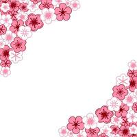 Background of cherry blossoms in full bloom and petals. graphic illustration square frame. vector