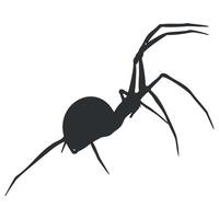 spider icon isolated vector