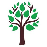 tree icon isolated vector