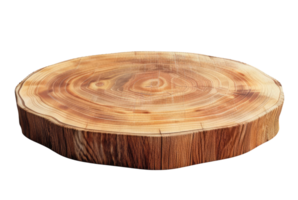 Cross section of a tree isolated on transparent background png