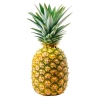 pineapple isolated on transparent background, full depth of field on transparent background png