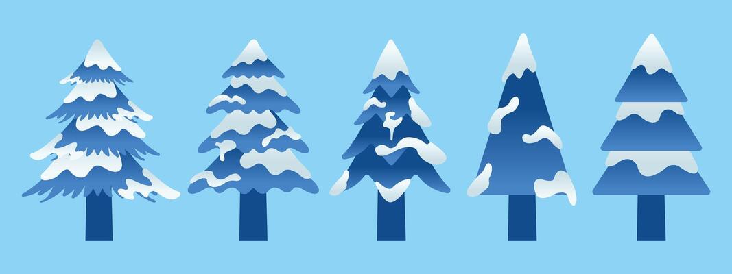 Winter Collection of Blue Pine Tree with Snow