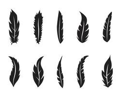Collection of different bird feather illustration vector