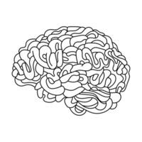hand draw black white line brain vector